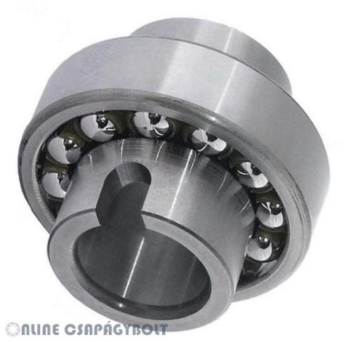 11206 NEU Bearing