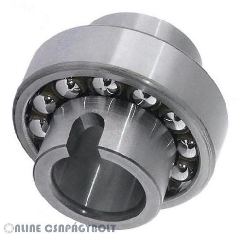 11209-TVH FAG Bearing