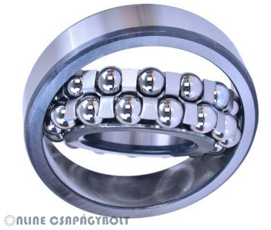 1306 K KBS Bearing