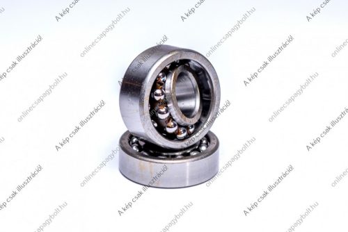 3TM-SF06A69 V1 NTN Rulment