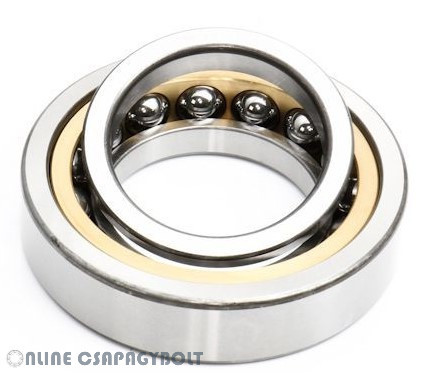 527898 FAG Bearing