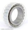 561804 KOYO Bearing