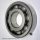 6205 LT1 SH2-9T2 CS24 KOYO Rulment