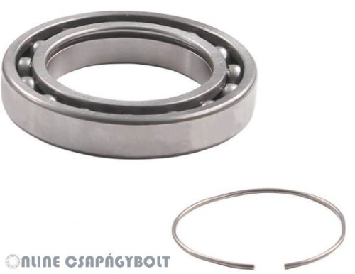 B65-27 E NXRX CG31 S01 NSK Rulment