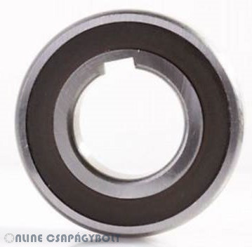 CSK 12 P C5 STIEBER Bearing 