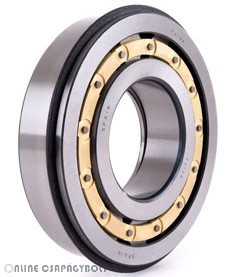 F 19003 FERSA Bearing
