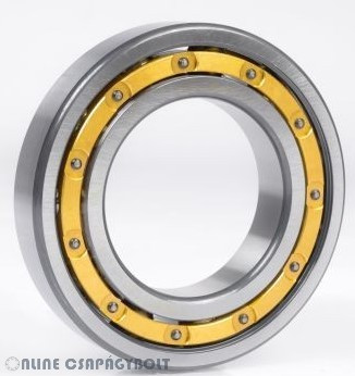 F 19085 FERSA Bearing