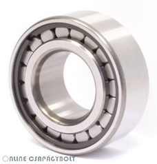 F 19099 FERSA Bearing