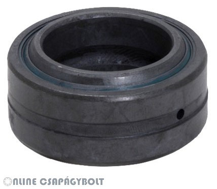 GE 15 ES 2RS CHI Bearing