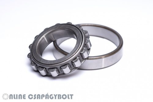 N 205-E-XL-TVP2-C3 FAG Bearing