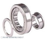 NUP 305-E-XL-TVP2 FAG Bearing