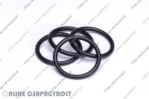 O 20X3.5  Inel O